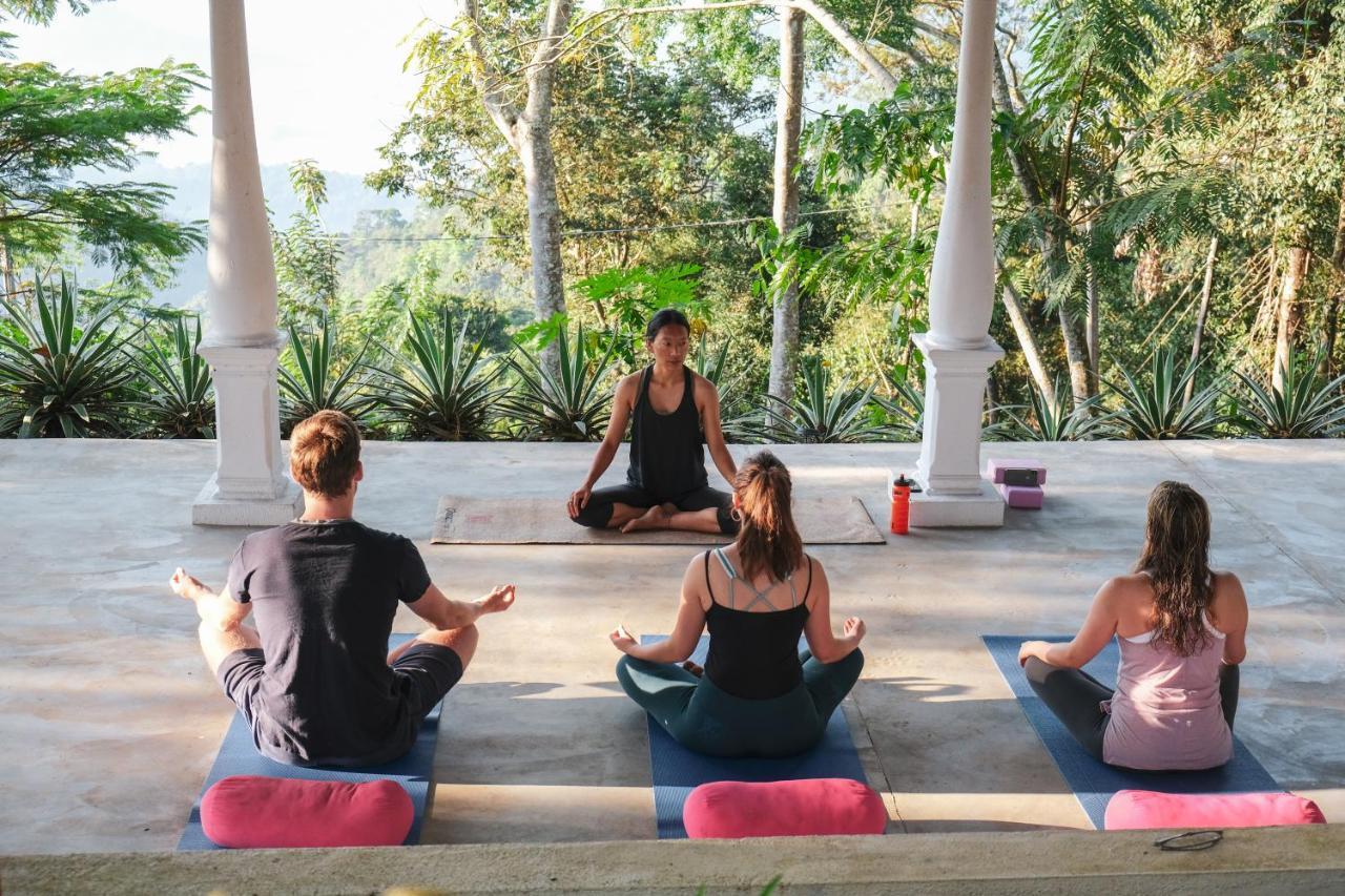 Welikande Yoga Retreats Hotell Digana Exteriör bild