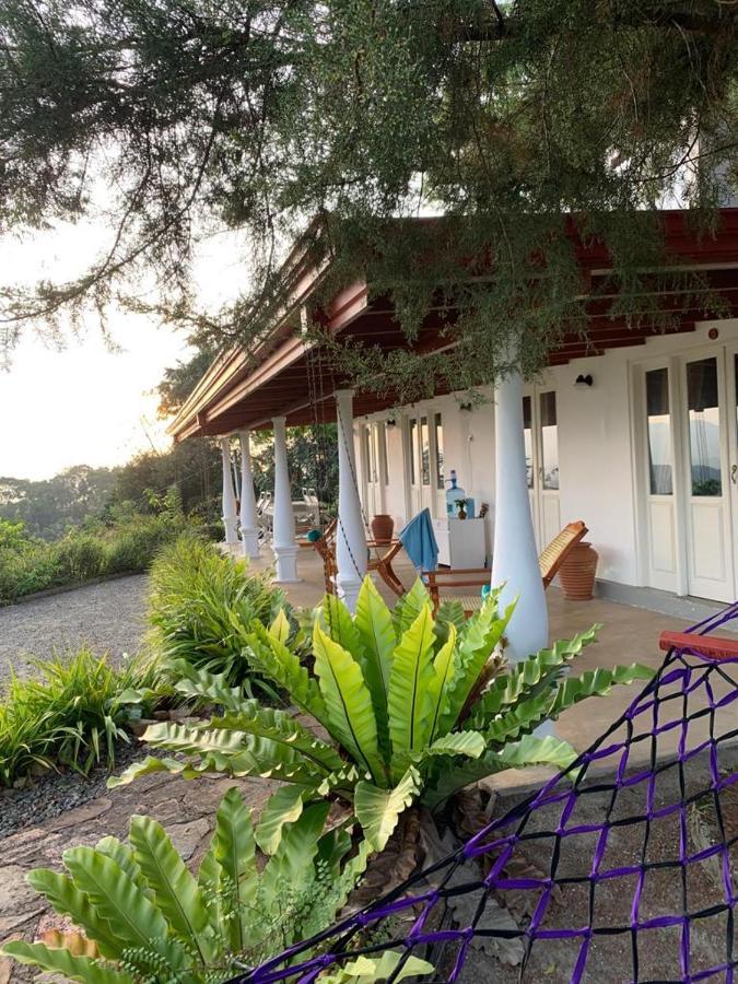 Welikande Yoga Retreats Hotell Digana Exteriör bild