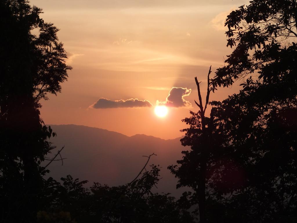 Welikande Yoga Retreats Hotell Digana Rum bild